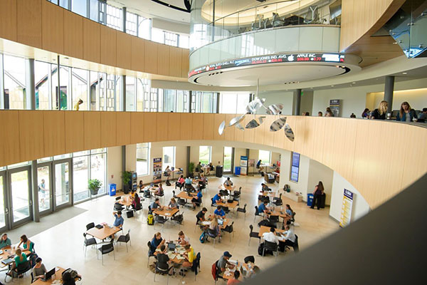 louisiana state university